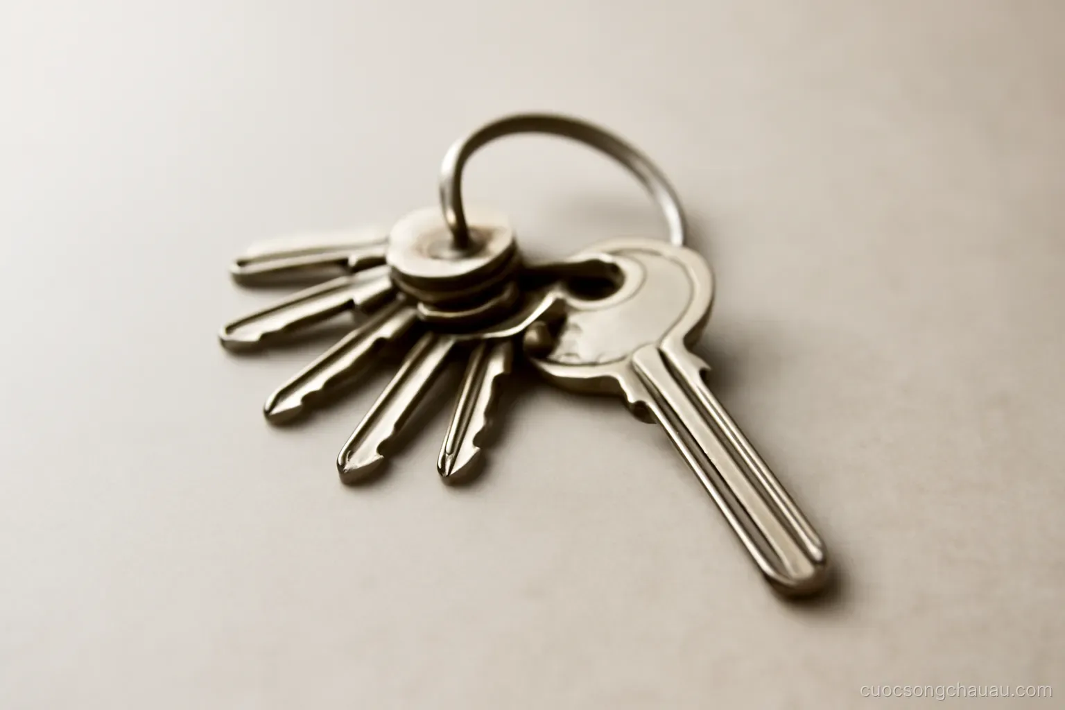 a ring of keys where one key is noticeably larger than the rest, lying on a plain surface